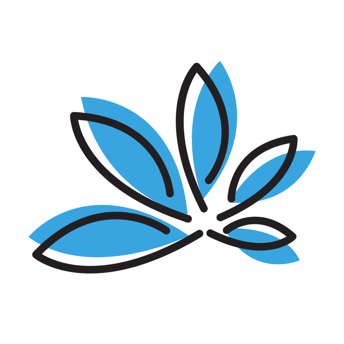 Logo Cbd avis